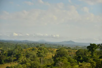 DSC_4362 (Large).JPG